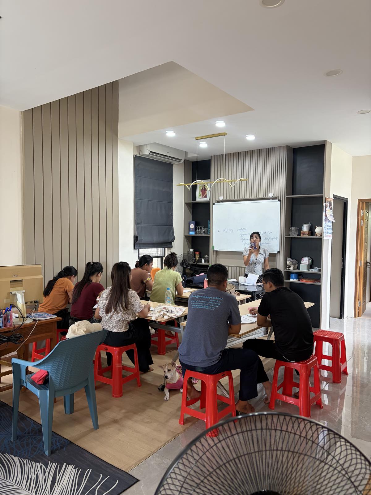 Language School Activity