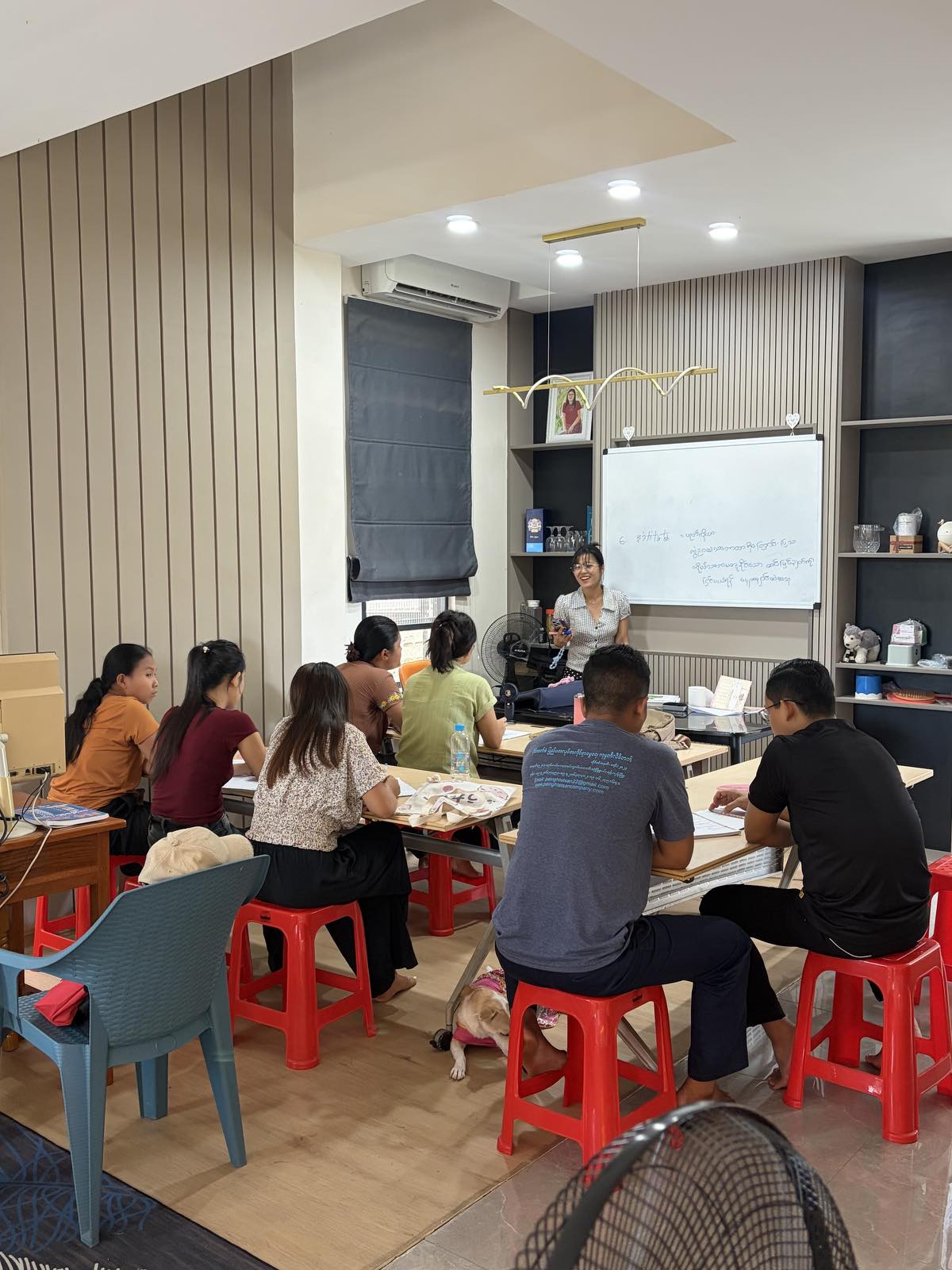 Language School Activity